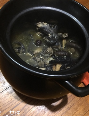 烏雞是公雞好還是母雞好？烏雞買公雞還是母雞？
