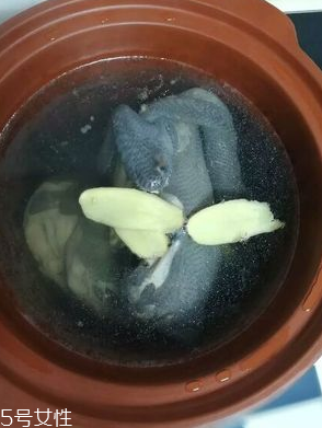 烏雞是熱性還是涼性？烏雞偏熱還是偏涼？