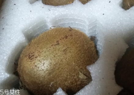 綠心獼猴桃硬的能吃嗎？硬的綠心獼猴桃能吃嗎？