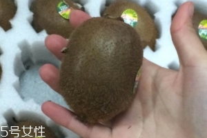 綠心獼猴桃怎么催熟？綠心獼猴桃的催熟方法