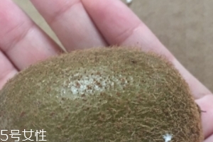 綠心獼猴桃含葉酸嗎？綠心獼猴桃里面有葉酸嗎？