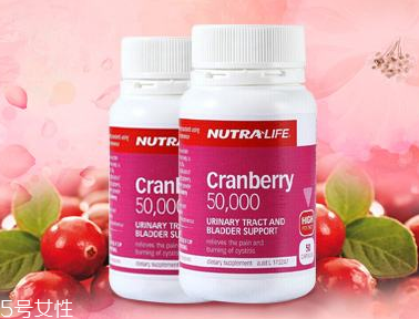 蔓越莓膠囊孕婦可以吃嗎？蔓越莓膠囊適合孕婦嗎？