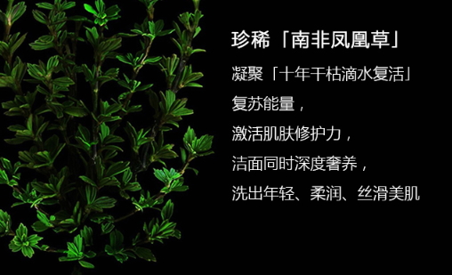 阿瑪尼洗面奶怎么樣？阿瑪尼洗面奶評測