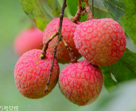 荔枝是涼性還是熱性？月經(jīng)來(lái)了能吃荔枝嗎