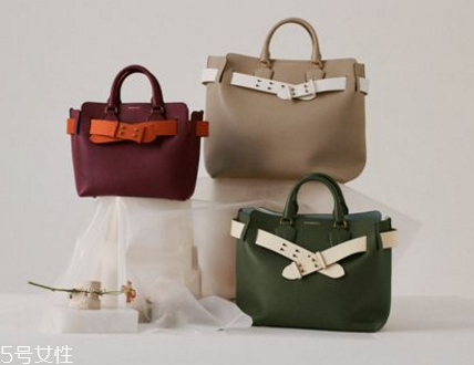 burberry the belt bag多少錢？巴寶莉貝爾特包專柜價(jià)格