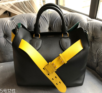 burberry the belt bag多少錢？巴寶莉貝爾特包專柜價(jià)格