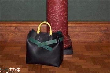 burberry the belt是什么皮？巴寶莉貝爾特包材質(zhì)