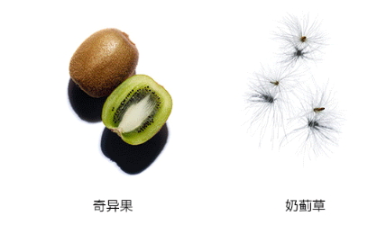 嬌韻詩雙萃精華多少錢？嬌韻詩雙萃精華容量