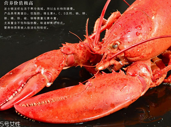 波士頓龍蝦頭里綠色的是什么？