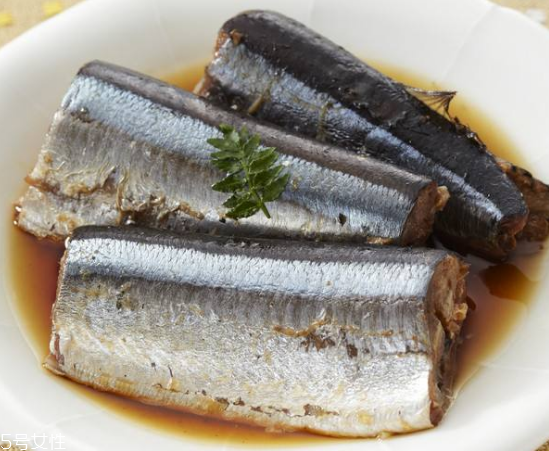青魚怎么釣？青魚可以用什么餌料？