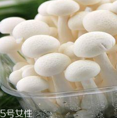 白玉菇的營養(yǎng)價值 白玉菇有什么營養(yǎng)？