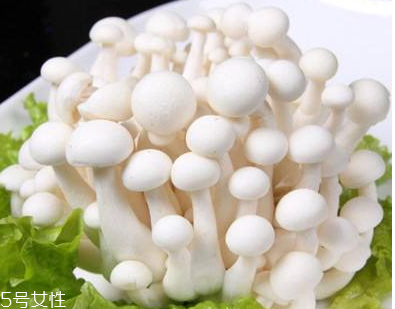 白玉菇的選購技巧 白玉菇怎么挑選？