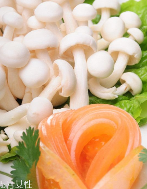 白玉菇和金針菇的區(qū)別 白玉菇是金針菇嗎？