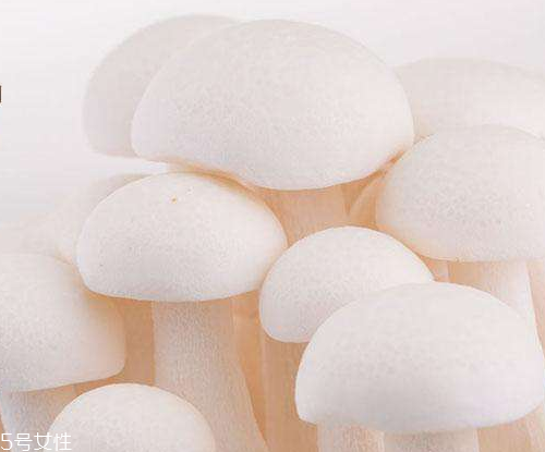 白玉菇的吃法 白玉菇能燉雞嗎？