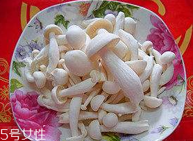白玉菇能和西紅柿一起吃嗎？白玉菇能和番茄一起吃嗎？