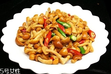 滑子菇是什么？滑子菇能吃嗎？
