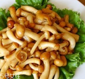 滑子菇的功效 滑子菇有什么作用？