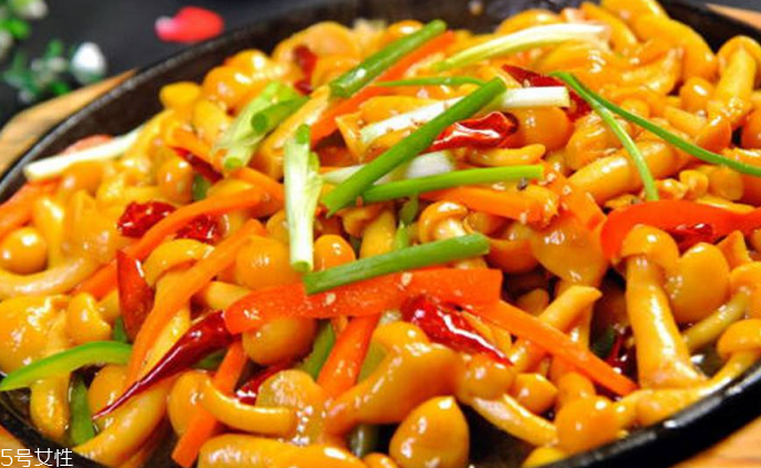 滑子菇野生和滑子菇養(yǎng)殖的區(qū)別 野生滑子菇的好嗎？