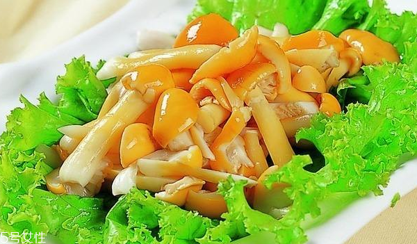 滑子菇的禁忌人群 哪些人不能吃滑子菇？