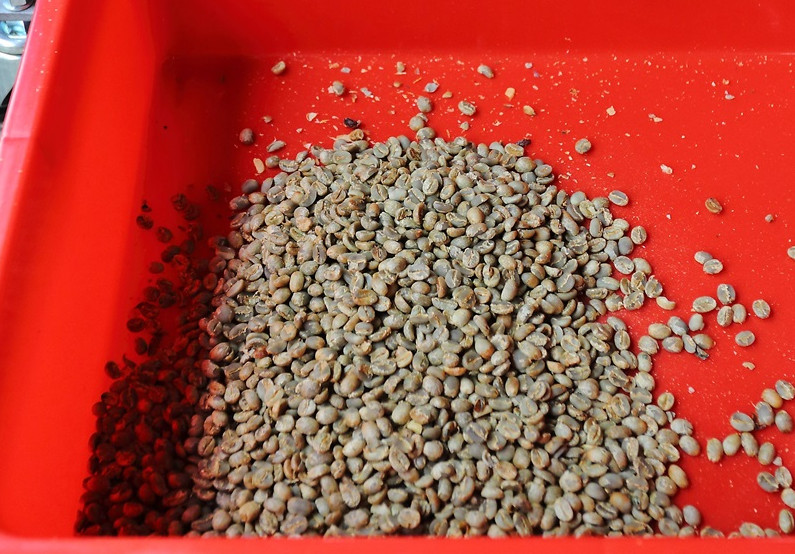 咖啡豆新豆、舊豆、老豆各有什么特色
