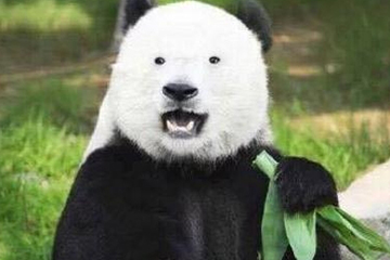 激光去黑眼圈術前注意事項 激光去黑眼圈術后注意事項