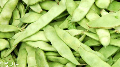 蕓豆是什么？蕓豆是豆角嗎？