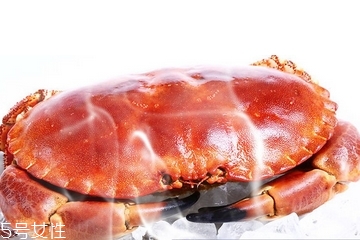 面包蟹肉多嗎？面包蟹幾月份最肥