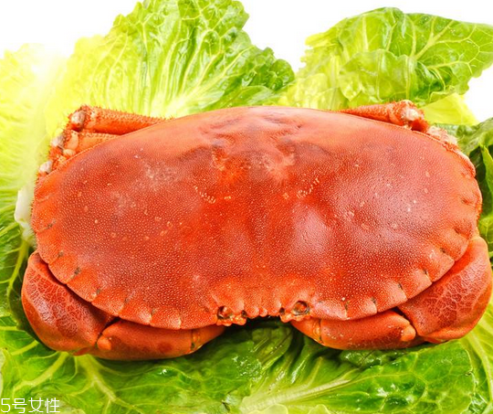 面包蟹肉多嗎？面包蟹幾月份最肥