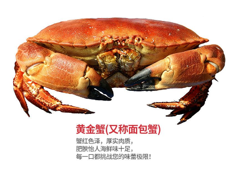 面包蟹肉多嗎？面包蟹幾月份最肥