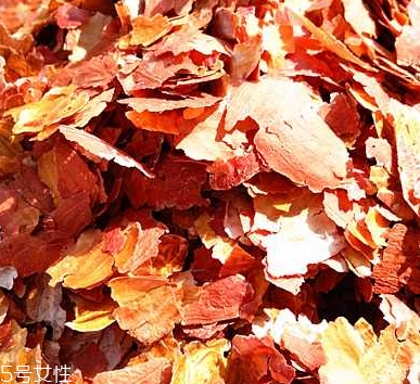 花生衣是什么？花生衣可以吃嗎？
