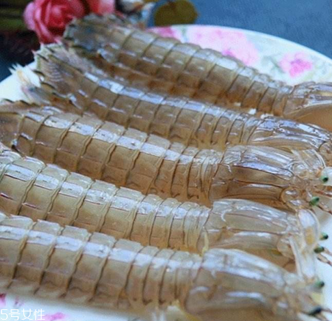 皮皮蝦能長多大？皮皮蝦最大有多大？