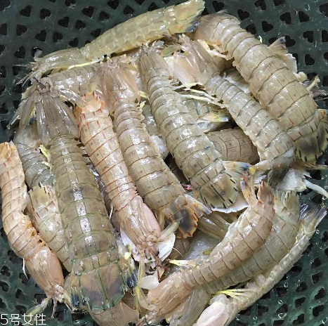 皮皮蝦能和櫻桃一起吃嗎？皮皮蝦和櫻桃可以同吃嗎？