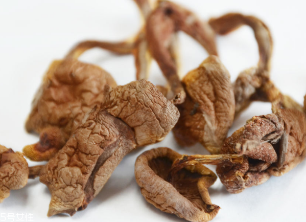 榛蘑和蘿卜相克嗎？榛蘑能不能和蘿卜一起吃？