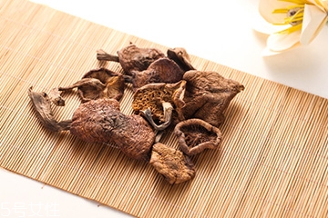 榛蘑是蘑菇嗎？榛蘑是什么蘑菇？