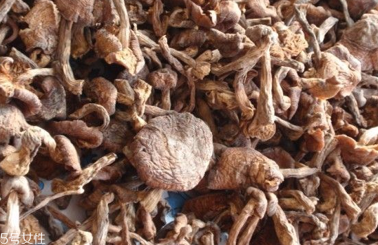 榛蘑和木耳的區(qū)別 榛蘑和木耳能一起吃嗎？