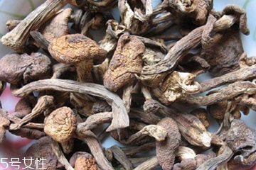 榛蘑和木耳的區(qū)別 榛蘑和木耳能一起吃嗎？
