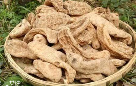 榛蘑和天麻的關(guān)系 榛蘑和天麻有什么聯(lián)系？