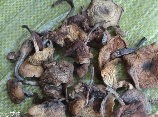 榛蘑能保存多久？干榛蘑怎么保存最好？