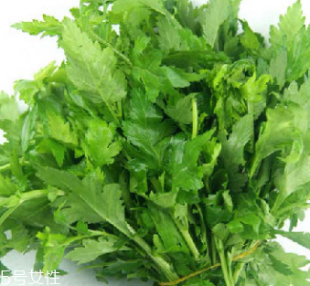 菊花腦是苦的嗎？菊花腦苦不苦？