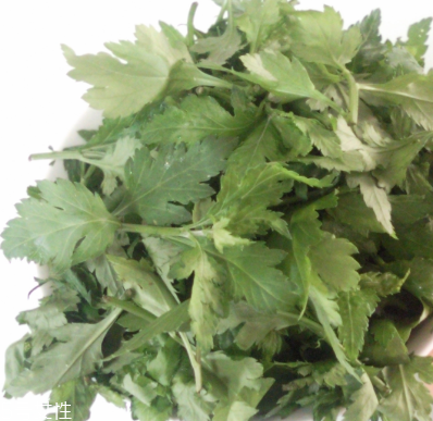 菊花腦怎么挑選？菊花腦選購技法
