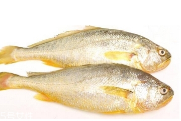 黃花魚(yú)清蒸多長(zhǎng)時(shí)間？黃花魚(yú)清蒸的做法