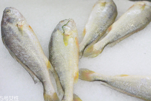 黃花魚清蒸多長時間？黃花魚清蒸的做法