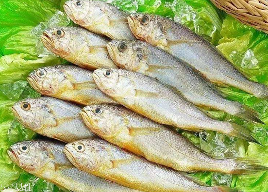 黃花魚去鱗嗎？黃花魚去內(nèi)臟嗎？