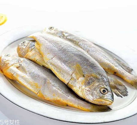 黃花魚為什么都是死的？死黃花魚可以吃嗎？