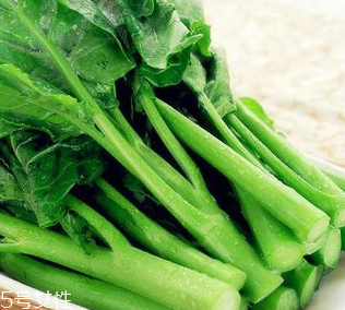 芥蘭是芥菜嗎？芥蘭和芥菜的區(qū)別