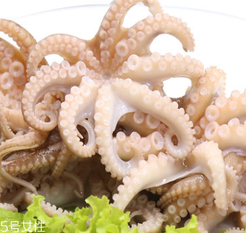章魚是什么顏色？章魚是什么樣子？