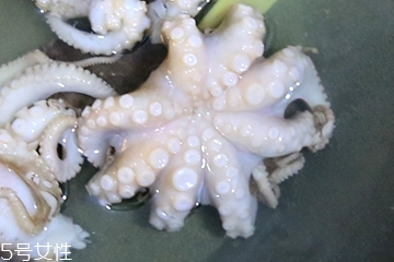 章魚會噴墨汁嗎？章魚的墨汁能吃嗎？