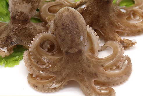 章魚(yú)會(huì)噴墨汁嗎？章魚(yú)的墨汁能吃嗎？