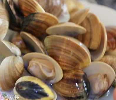 文蛤是海鮮還是河鮮？文蛤是海鮮嗎？