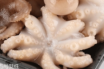 章魚可以炸嗎？章魚能油炸嗎？
